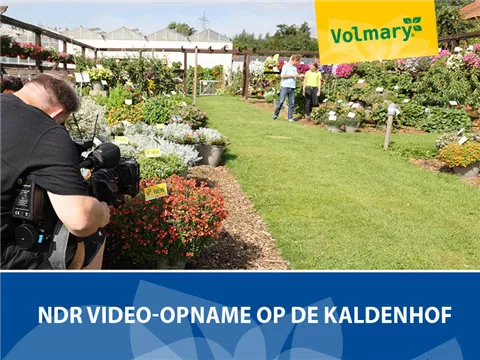 NDR video-opname bij de Kaldenhof NDR video-opname bij de Kaldenhof