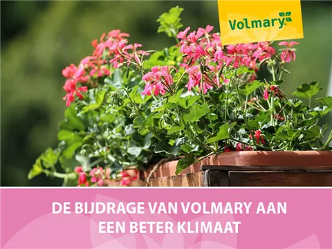 Volmary's bijdrage aan een beter klimaat Volmary's bijdrage aan een beter klimaat