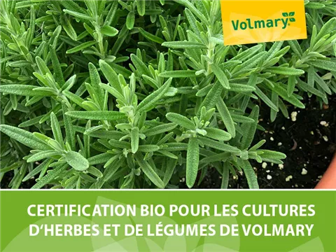 Certification bio pour la production d'herbes et de légumes de Volmary Certification bio pour la production d'herbes et de légumes de Volmary