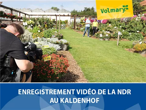 Tournage vidéo de la NDR à Kaldenhof Tournage vidéo de la NDR à Kaldenhof