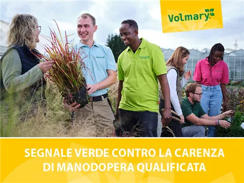 Segnale verde contro la carenza di manodopera specializzata - Volmary ha aperto le porte al 14° T.A.G. 2022 Segnale verde contro la carenza di manodopera specializzata - Volmary ha aperto le porte al 14° T.A.G. 2022