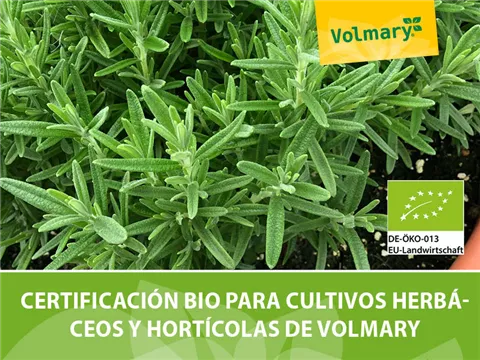 Certificación ecológica para la producción de hierbas y hortalizas de Volmary Certificación ecológica para la producción de hierbas y hortalizas de Volmary
