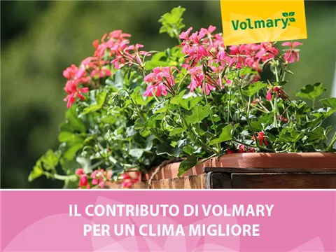 Il contributo di Volmary per un clima migliore Il contributo di Volmary per un clima migliore