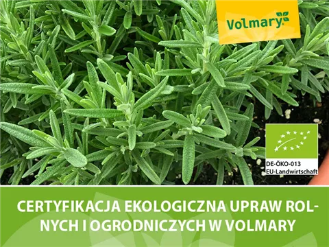 Certyfikat ekologiczny dla produkcji ziół i warzyw Volmary