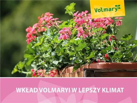 Wkład Volmary'ego w lepszy klimat