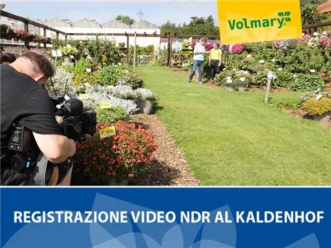Riprese video NDR al Kaldenhof Riprese video NDR al Kaldenhof