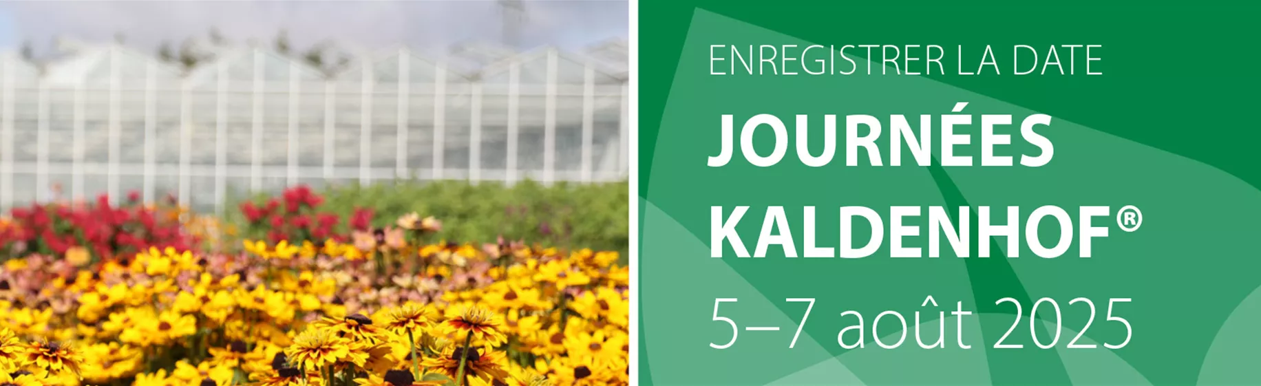 Layout_Webheader-Kaldenhoftage-2025-FR.jpg