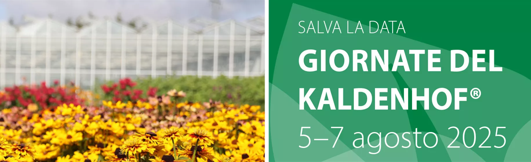 Layout_Webheader-Kaldenhoftage-2025-IT1.jpg
