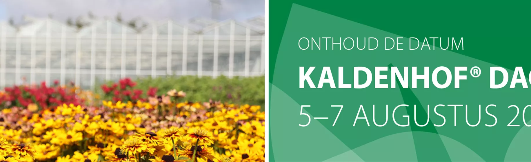 Layout_Webheader-Kaldenhoftage-2025-NL1.jpg