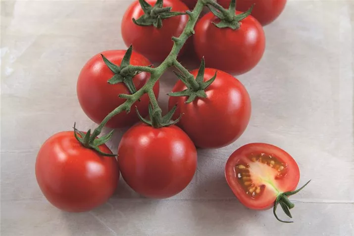 Veredelte_Cocktailotomate_Manolo.jpg