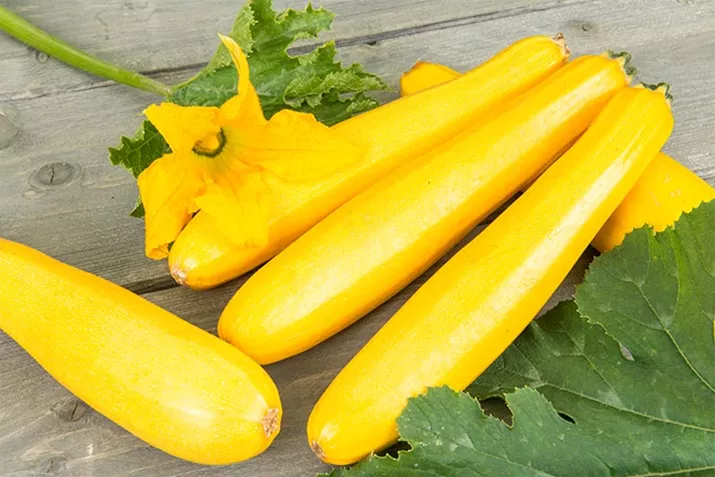 Divara_Yellow_Gabriela_Volmary.jpg Divara_Yellow_Gabriela_Volmary.jpg