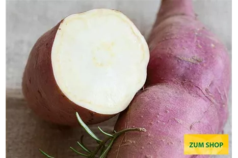 Suesskartoffel_Erato_White_Volmary.jpg Suesskartoffel_Erato_White_Volmary.jpg