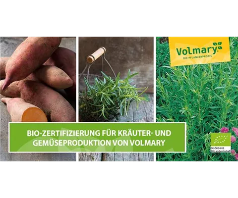 Bio-Zertifizierung für die Kräuter- und Gemüseproduktion von Volmary Bio-Zertifizierung für die Kräuter- und Gemüseproduktion von Volmary