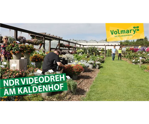 NDR Videodreh auf dem Kaldenhof NDR Videodreh auf dem Kaldenhof