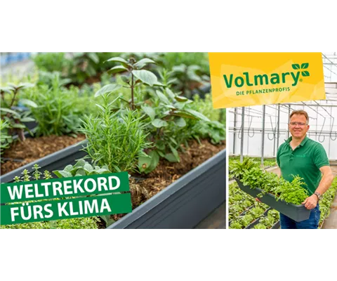 Volmary’s Beitrag zu einem besseren Klima Volmary’s Beitrag zu einem besseren Klima