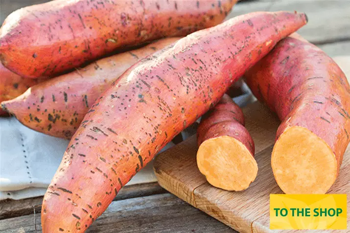 Sweet-Potatoe-Erato-Deep-Oramge.jpg Sweet-Potatoe-Erato-Deep-Oramge.jpg