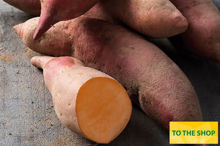 Sweet-Potatoe-Erato-Early-Orange.jpg Sweet-Potatoe-Erato-Early-Orange.jpg