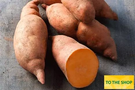 Sweet-Potatoe-Erato-Compact-Orange.jpg Sweet-Potatoe-Erato-Compact-Orange.jpg
