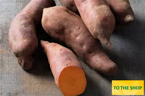 Sweet-Potatoe-Erato-Intense-Orange.jpg Sweet-Potatoe-Erato-Intense-Orange.jpg