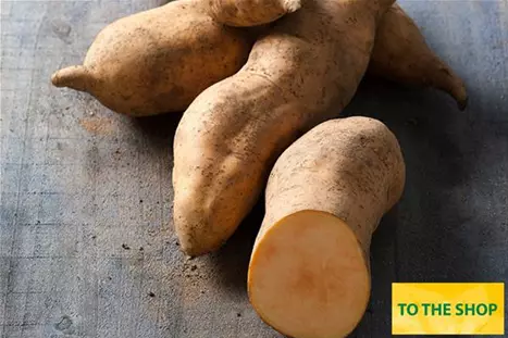 Sweet-Potatoe-Erato-Sunrise.jpg Sweet-Potatoe-Erato-Sunrise.jpg