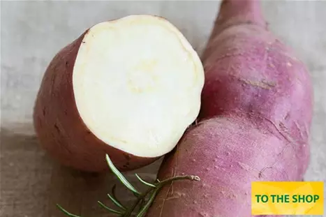 Sweet-Potatoe-Erato-White.jpg Sweet-Potatoe-Erato-White.jpg