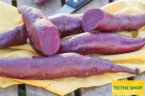 Sweet-Potatoe-Erato-Violet.jpg Sweet-Potatoe-Erato-Violet.jpg