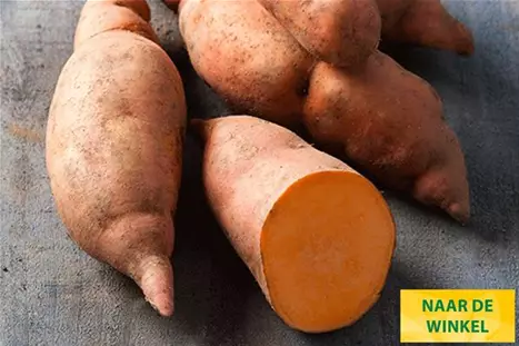 Zoete-Aardappelsoorten-erato-compact-orange.jpg Zoete-Aardappelsoorten-erato-compact-orange.jpg