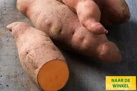 Zoete-Aardappelsoorten-erato-Salmon-orange.jpg Zoete-Aardappelsoorten-erato-Salmon-orange.jpg