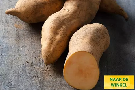 Zoete-Aardappelsoorten-erato-vindeland-sunrise.jpg Zoete-Aardappelsoorten-erato-vindeland-sunrise.jpg