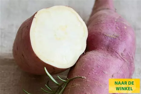 Zoete-Aardappelsoorten-erato-white.jpg Zoete-Aardappelsoorten-erato-white.jpg