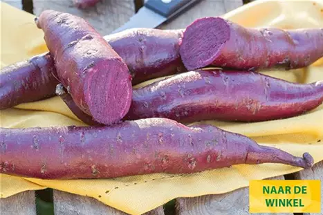 Zoete-Aardappelsoorten-erato-violet.jpg Zoete-Aardappelsoorten-erato-violet.jpg