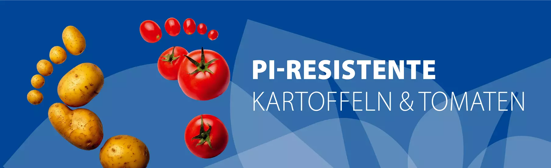 Pi-Resistente-Tomaten-und-Kartoffeln_Volmary_DE.jpg
