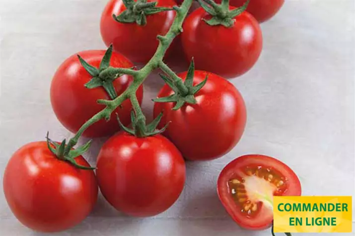 Cocktail-Tomate-Manolo-Red_Volmary_FR.png