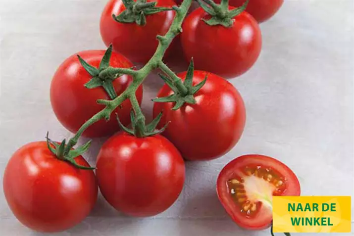 Cocktail-Tomaat-Manolo-Red_Volmary_NL.png