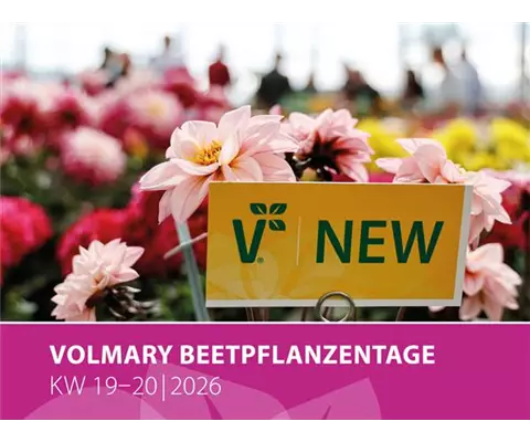 Las Jornadas de Plantas de Jardín Volmary<sup>®</sup> 2026