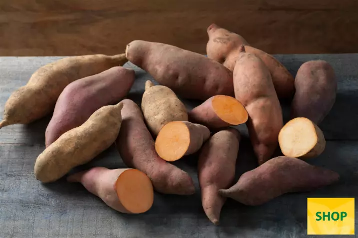 Sweet-potaoe-erato-vineland_Volmary.png Sweet-potaoe-erato-vineland_Volmary.png