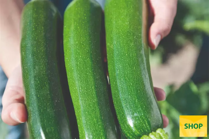 Courgette-Zodiac_Volmary (1).png Courgette-Zodiac_Volmary (1).png