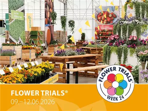 Volmary at the Flowertrials<sup>®</sup> 2026