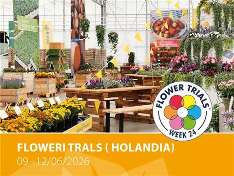 Volmary na targach Flowertrials<sup>®</sup> 2026