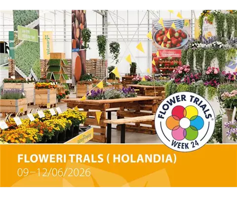 Volmary at the Flowertrials<sup>®</sup> 2026