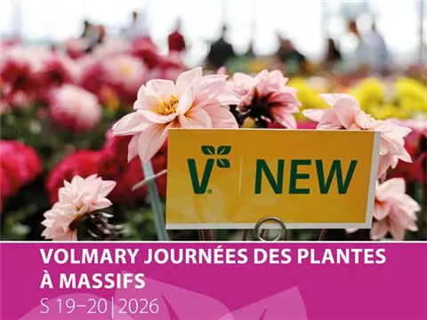 Les Journées des plantes à massifs Volmary<sup>®</sup> 2026