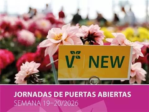 Las Jornadas de las Plantas de Parterre Volmary<sup>®</sup> 2026