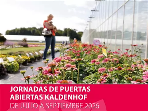 Volmary Kaldenhof<sup>®</sup> exposición de variedades 2026