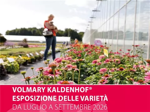 Volmary Kaldenhof<sup>®</sup> esposizione delle varietà 2026