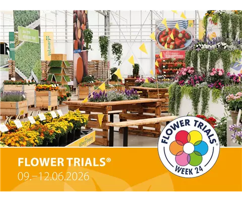 Volmary na targach Flowertrials<sup>®</sup> 2026