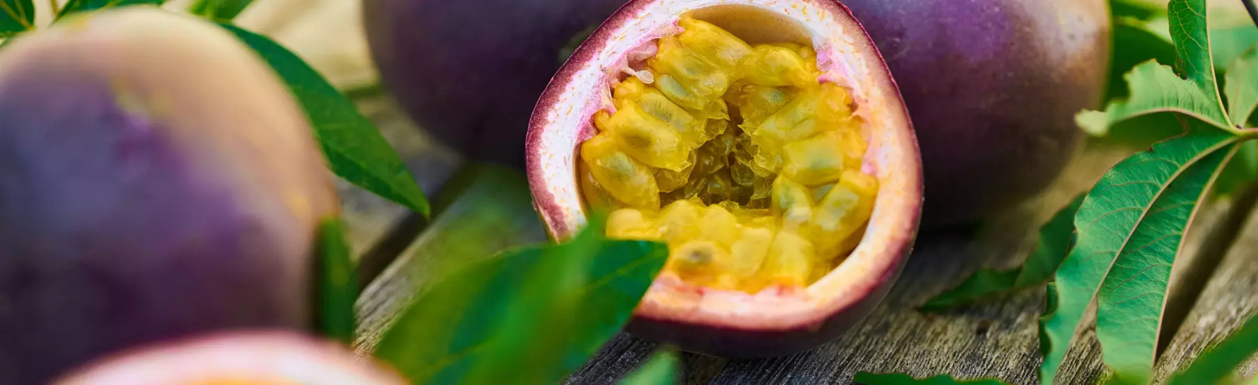 Exotic-Fruit-Plants_Volmary.png