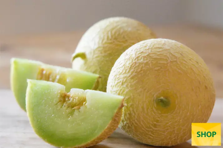Cucumis-Melo_Volmary.png
