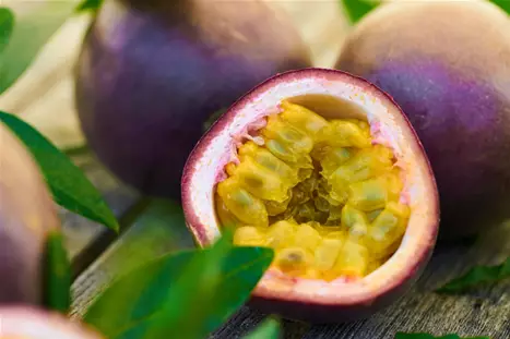 Passionfruit-Volmary.png