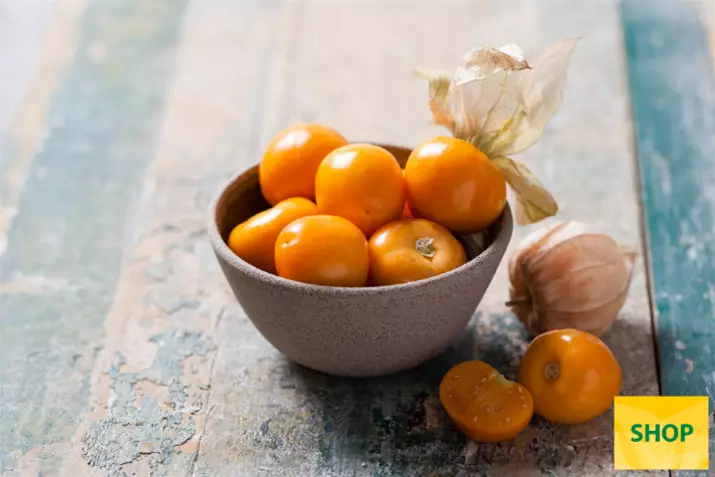 Physalis-pruviana-Goldvital-Maxi_Volmary.png