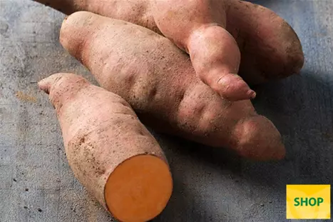 Słodkie-ziemniaki_Erato-Salmont-Oange_Volmary.png Słodkie-ziemniaki_Erato-Salmont-Oange_Volmary.png